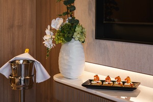 Horizon Owners Suite